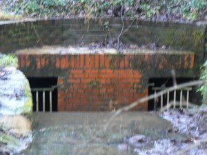 Fish House Brook