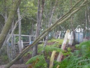 Much Hoole Moss Paintballing Site