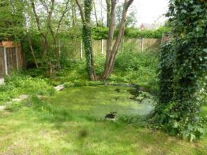 FHB tributary's old valley BP no. 14 - Copy