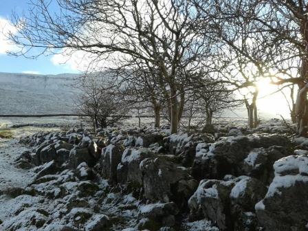 Ingleborough Pavement  - Copy
