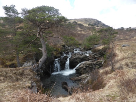 Loch Awe and Cuillich Wood 137 - Copy