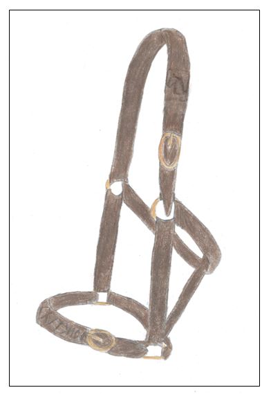 The Halter of Clydno - drawing - border