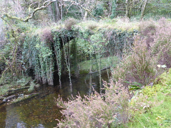 Ivy Bridge