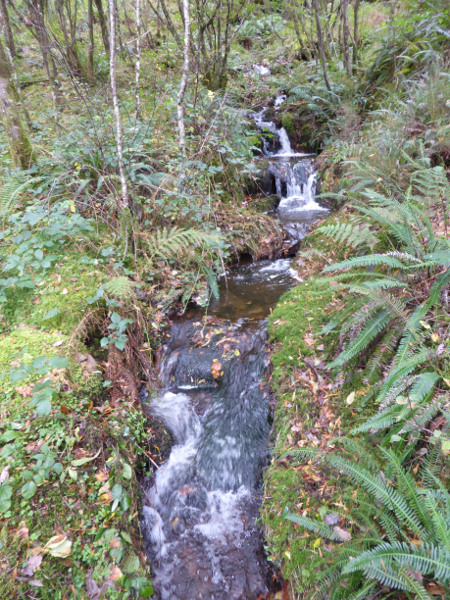 Stream near Pryderi's Grave