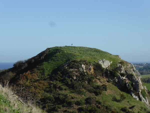 Deganwy Castle Site little hill with raven med