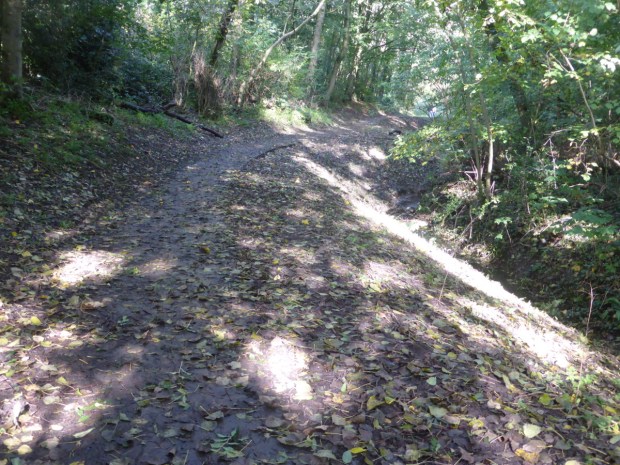 Greencroft Valley October 2019